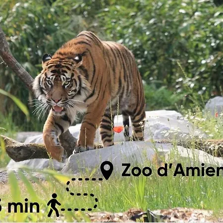 L Haussmann-gare-hortillonnages-centre-ville-wifi