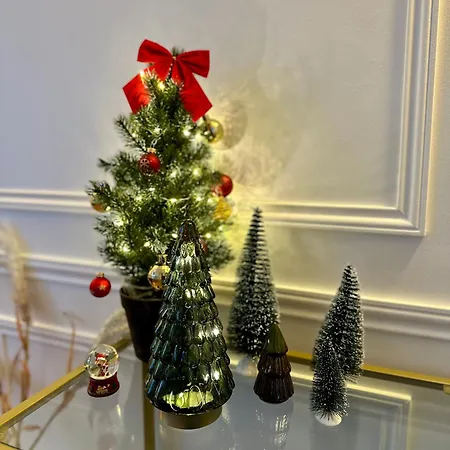 L Haussmann-gare-hortillonnages-centre-ville-wifi Daire