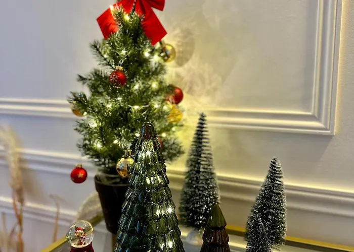 L Haussmann-gare-hortillonnages-centre-ville-wifi アパート